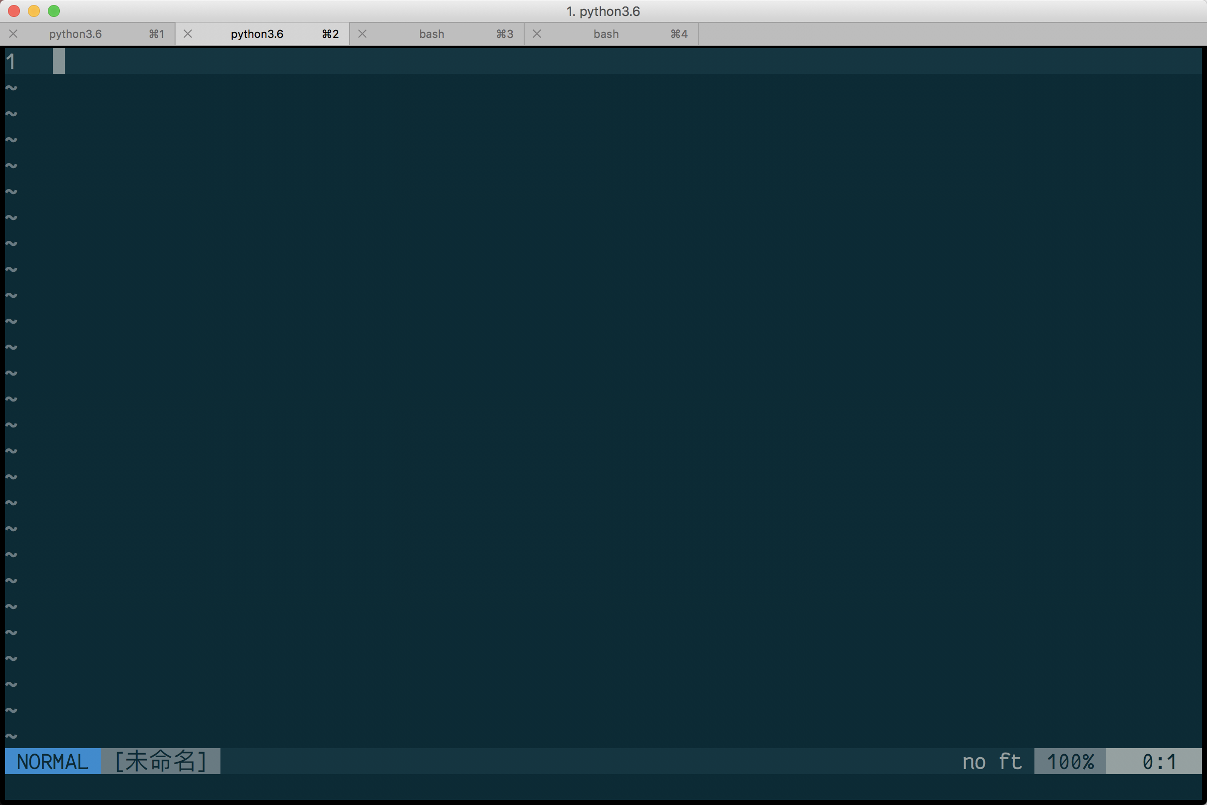nvim-config-1